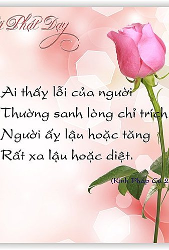 Chuyện con rùa lười biếng (Tiền thân Gajakumbha)