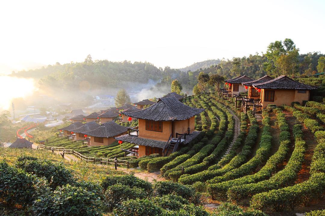 Nhiếp phục sợ hãi