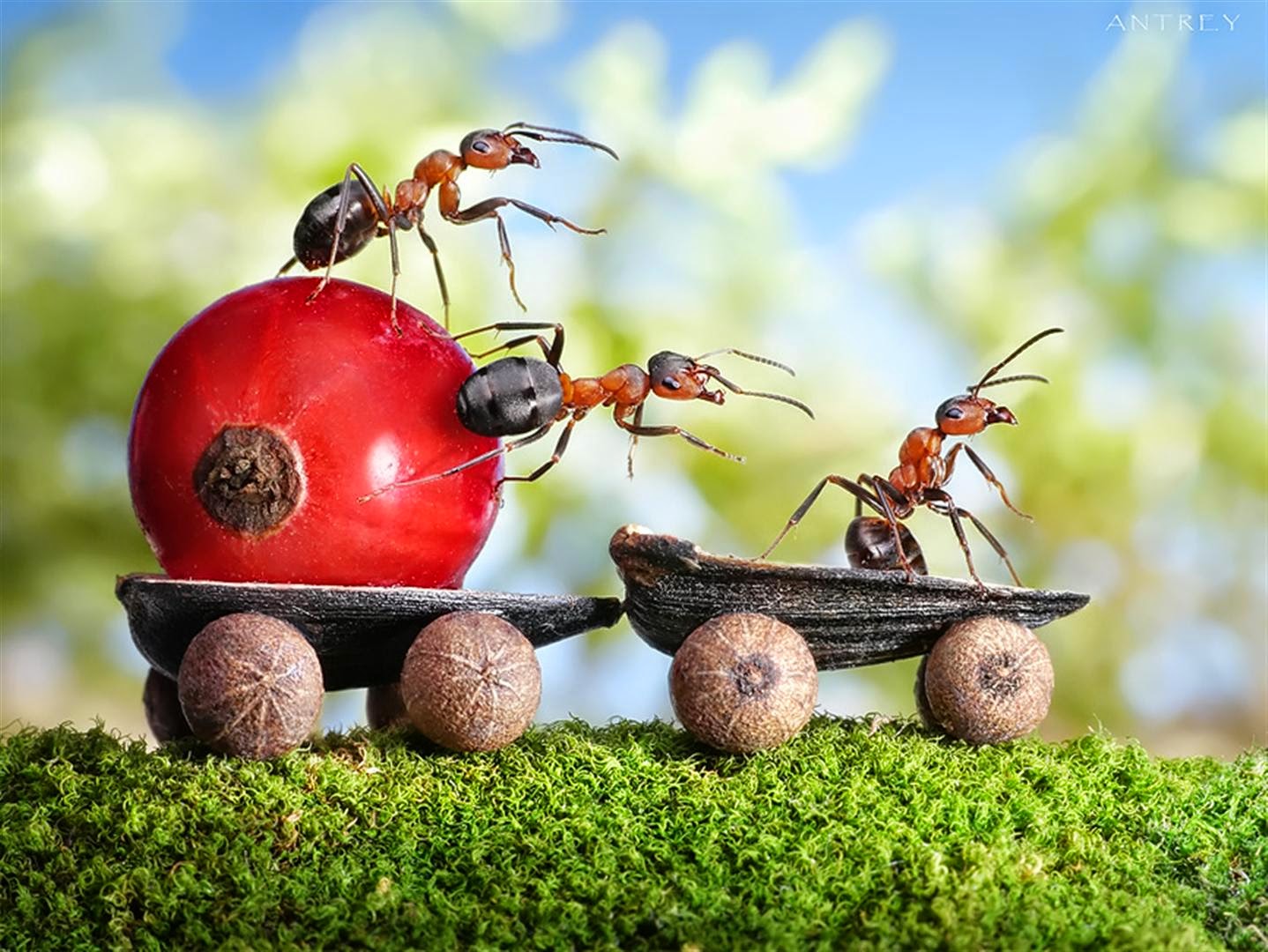 Có 2 chuyện lớn chẳng thể thay đổi được