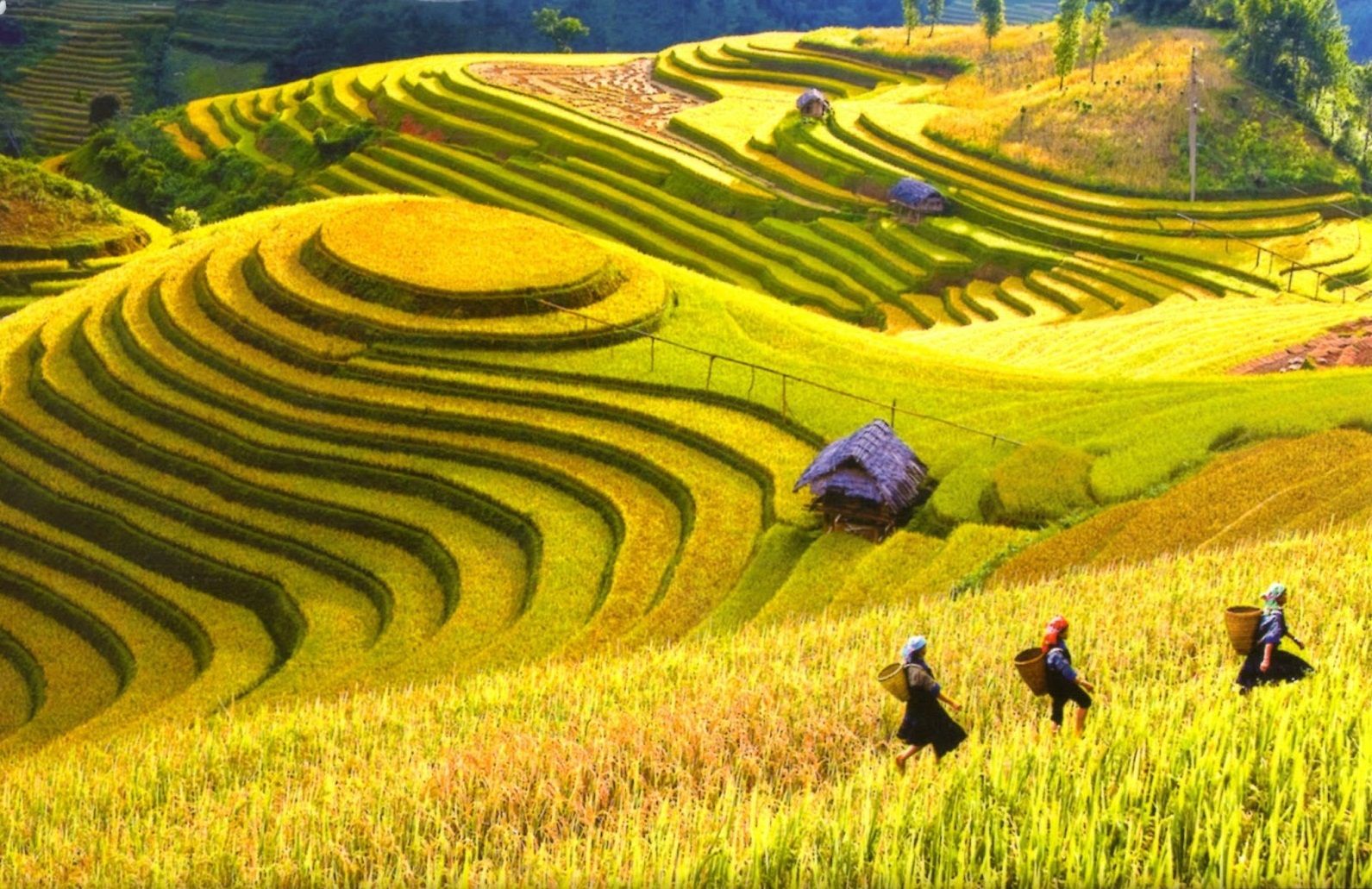 Hai câu chuyện suy ngẫm