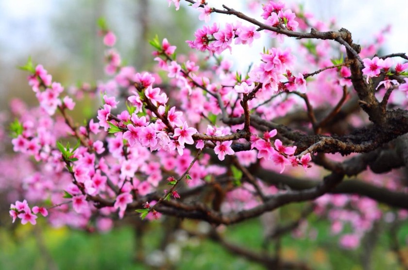 Câu chuyện đầu năm