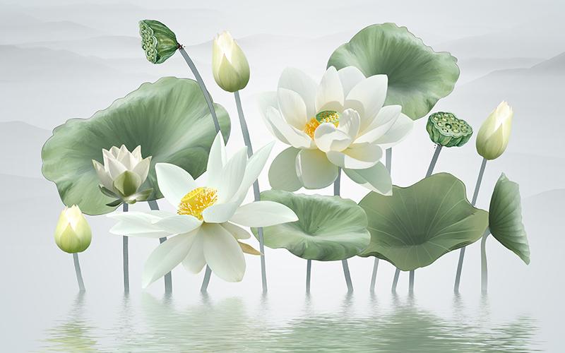 Cánh nhạn lưng trời