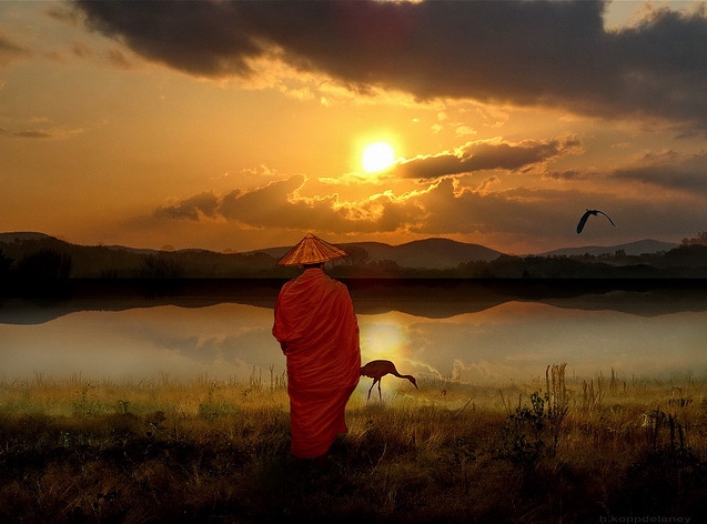Thiền Sư bị đánh