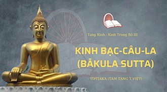 Kinh Trung Bộ 124 – Kinh Bạc-Câu-La - TT. Minh Đẳng giảng
