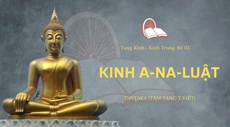 Kinh Trung Bộ 127 – Kinh A-Na-Luật - TT. Giác Viễn giảng