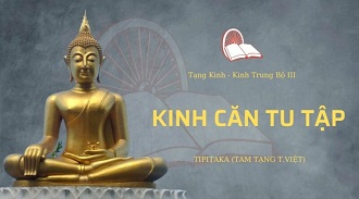 Kinh Trung Bộ 152 – Kinh Căn Tu Tập - SC. Hiếu Liên giảng
