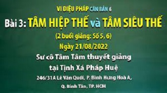 Vi diệu Pháp căn bản 6 - SC Tâm Tâm giảng Bài 3 - Tâm hiệp thế và Tâm siêu thế