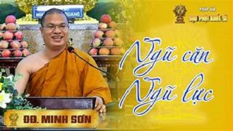 Ngũ căn - Ngũ lực là những gì? Đại đức MINH SƠN giảng giải