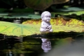 Hãy làm điều gì đó trước khi quá muộn màng