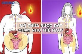 5 thói quen đốt cháy mỡ thừa hiệu quả cả khi đang ngủ