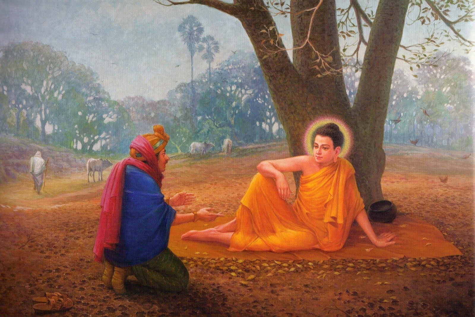 Tìm Phật