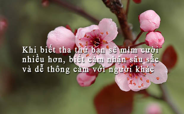 Tha Thứ theo tinh thần Phật giáo