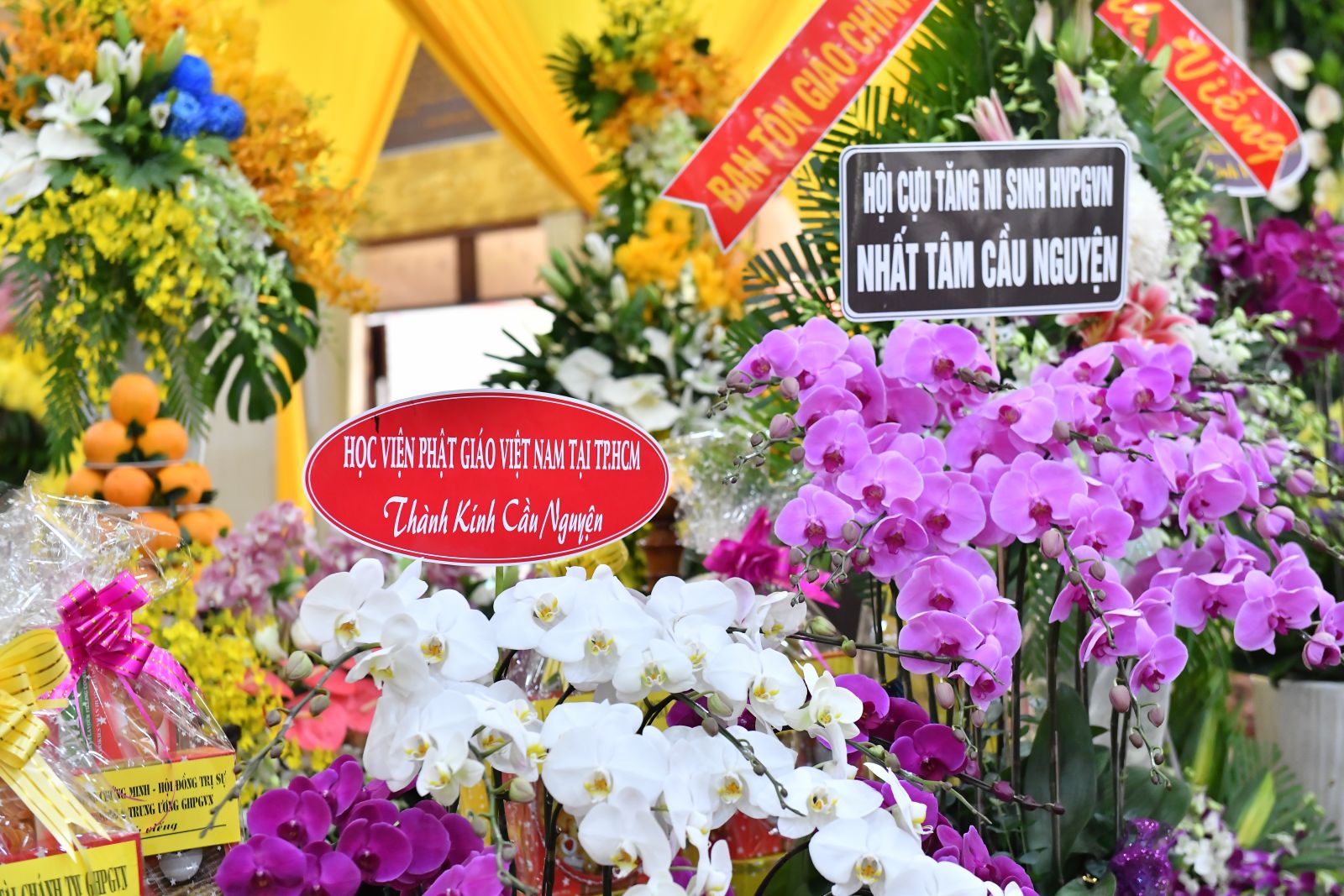 TP-HCM: Ban Văn hóa Trung ương, Hội Cựu sinh viên và Học viện PGVN tại TP.HCM viếng tang