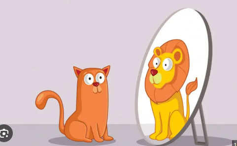 Nhìn thấu được phượng hoàng giữa bầy gà, khổng tước giữa bầy quạ