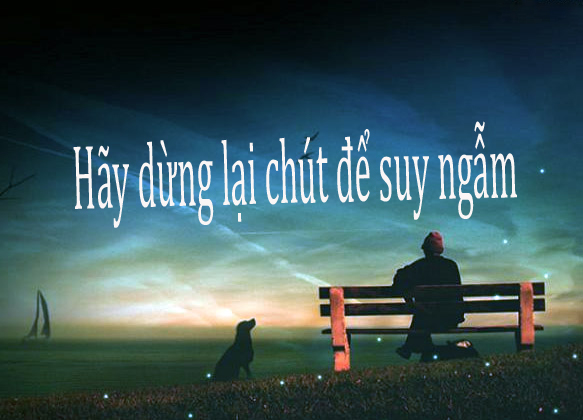 Pháp Tu ''dừng Một Phút''