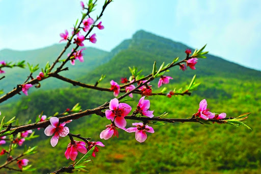 Cầu An Theo Tinh Thần Kinh Phước Đức