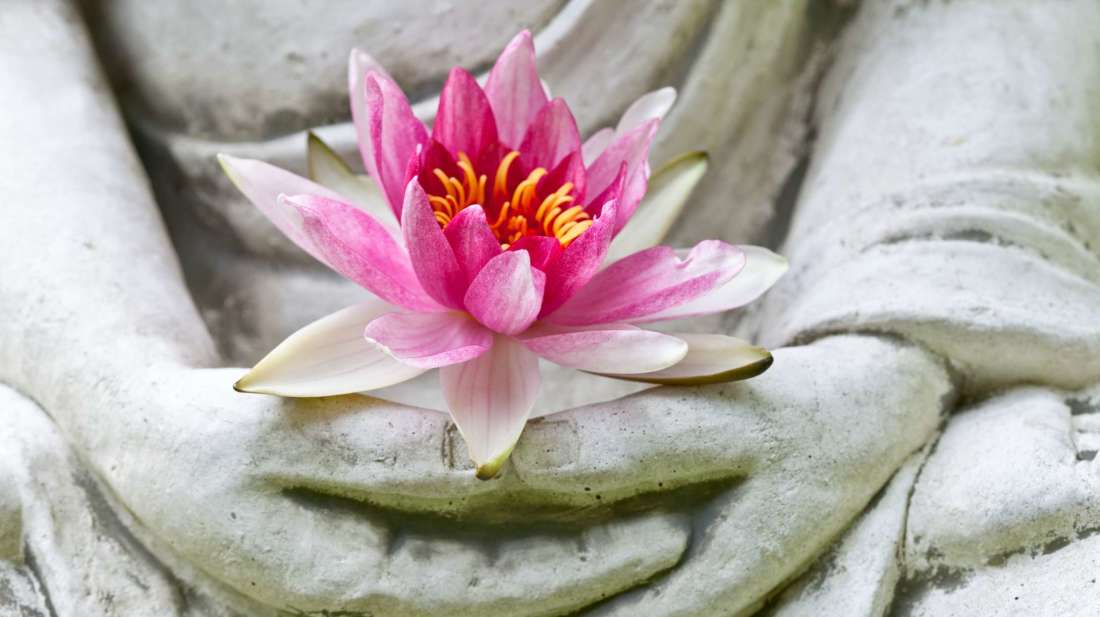 Truyện vị Lão Tăng