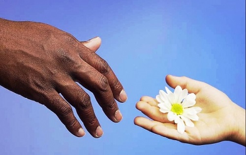 Như không có gì để mất
