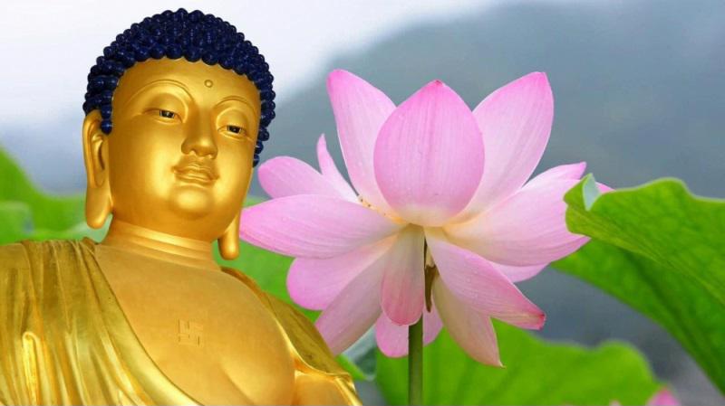 4 việc nhất định phải nhớ khi vào tuổi trung niên
