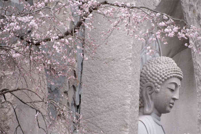 Cuộc đời Shoun