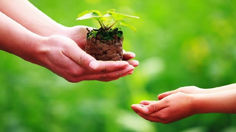 Làm thế nào để chung sống với người mình không thích