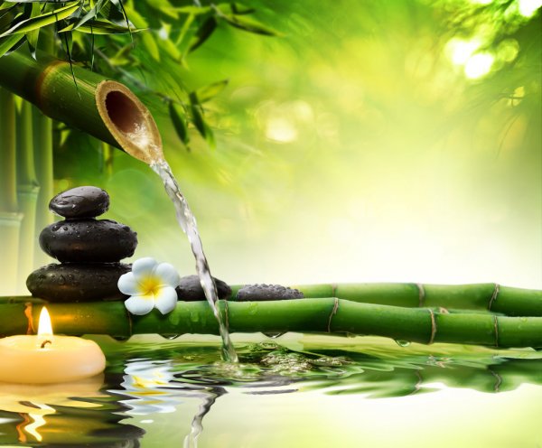 ''Luôn đổ đầy bát trước khi trả lại''