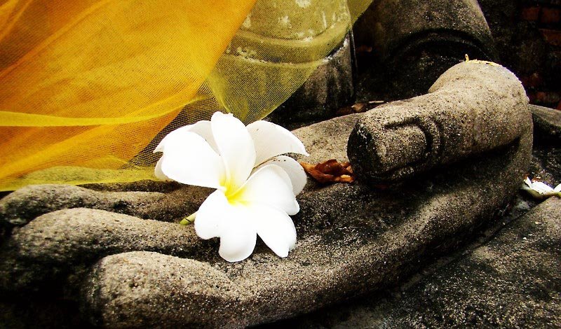 Gặp một người là tăng thêm một nhân duyên