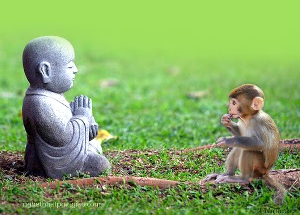 Chuyện chốn rừng hoang (Tiền thân Aranna)