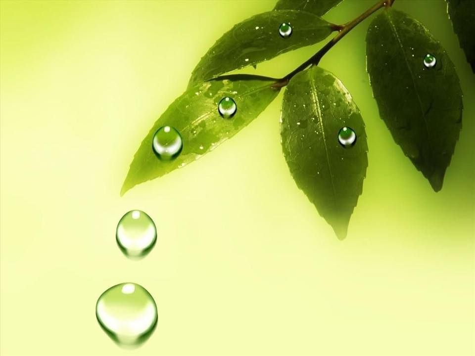 Những viên ngọc nước