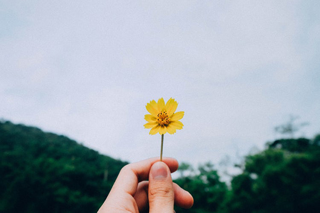 Bát nước mời thầy Phong Thủy