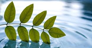 Những lời nhắn nhủ từ cuộc sống