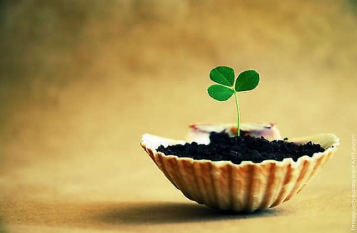 Lừa tiền cơm, cậu bé bị giữ lại và cái kết không ngờ sau 20 năm