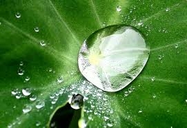 Lắng một chút cảm nhận điều bình dị