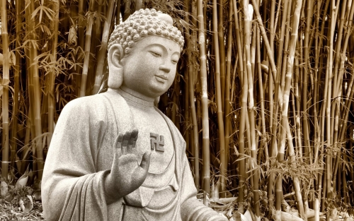 Lắng nghe với trái tim từ bi