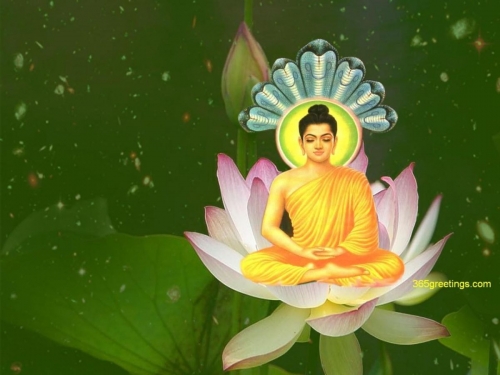 Tình thương không ranh giới