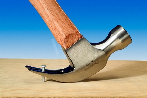 Cái giá của sự tức giận