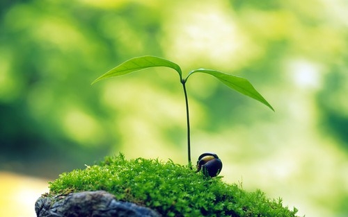7 Điều đàn ông cần biết