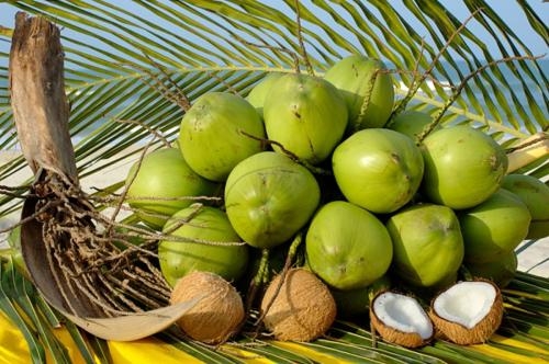 Người khát nước