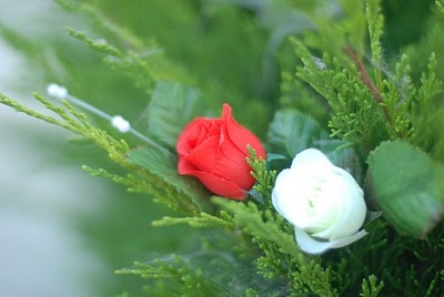 Vu Lan và hồi ức mẹ