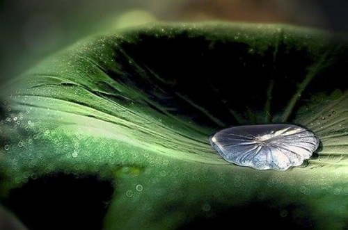 Thế nào là tội lỗi?