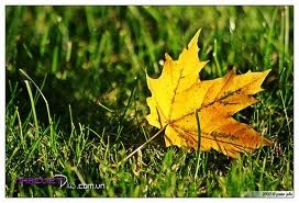 Điều khó nhất trên đời