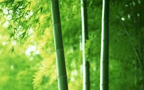 5 cách để tiếp nhận lời khen duyên dáng nhất