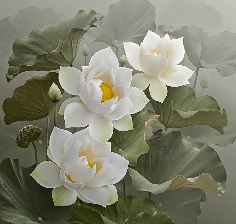 Kinh chuyển hóa nghiệp chướng