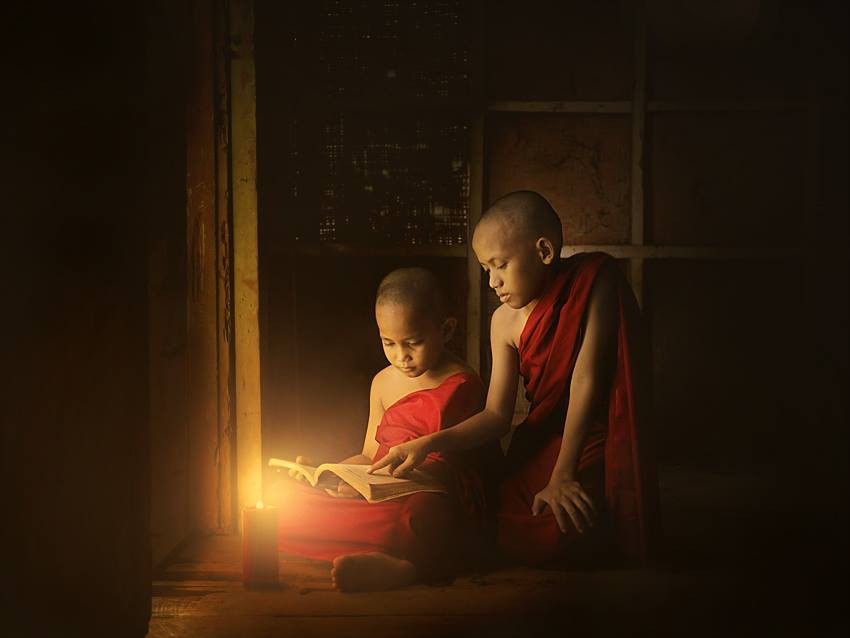 Ngũ căn & ngũ lực