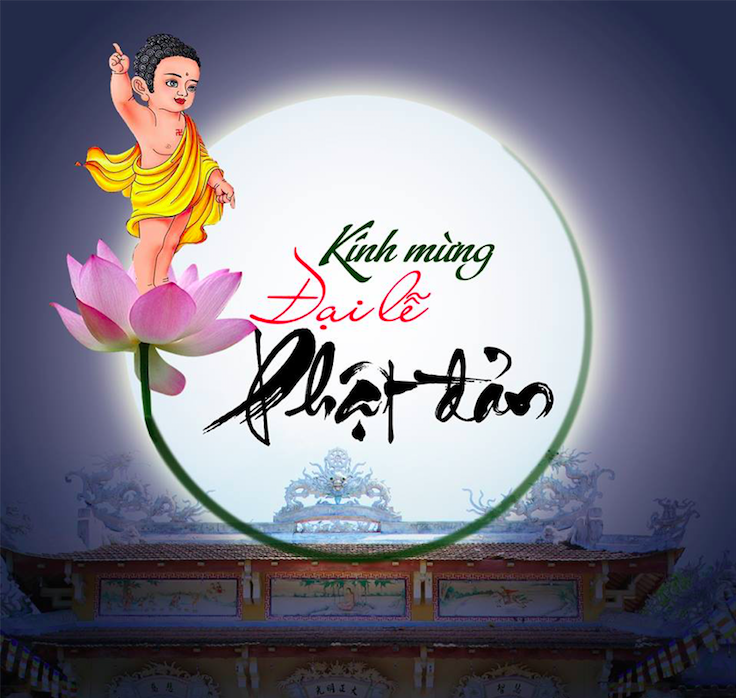 Đặc Tính Hoa Sen & Ý Nghĩa Bảy Bước Chân Của Phật