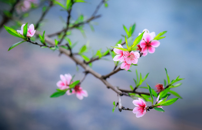 Tấm lòng dù lớn hay nhỏ cũng không nên bạc đãi, biết trân quý tài lộc ắt hưởng cả đời