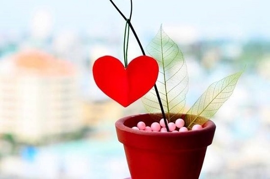31 câu hỏi làm thay đổi cuộc đời bạn