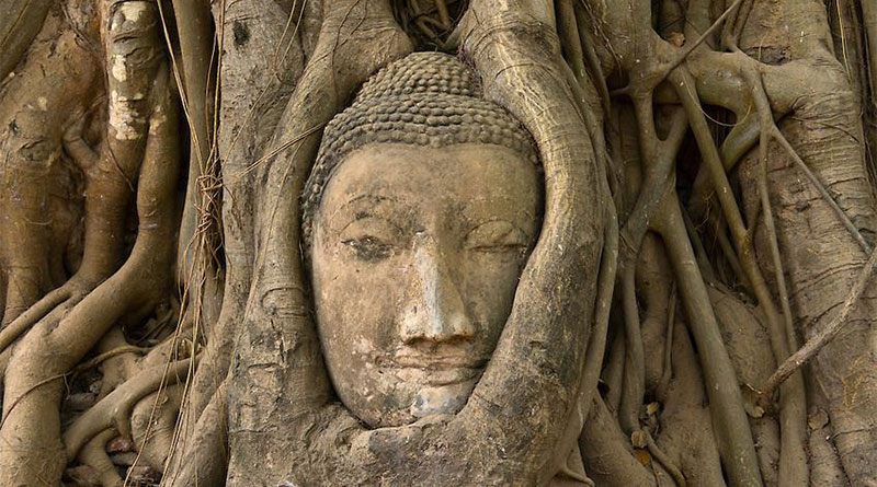 Sự hoàn hảo