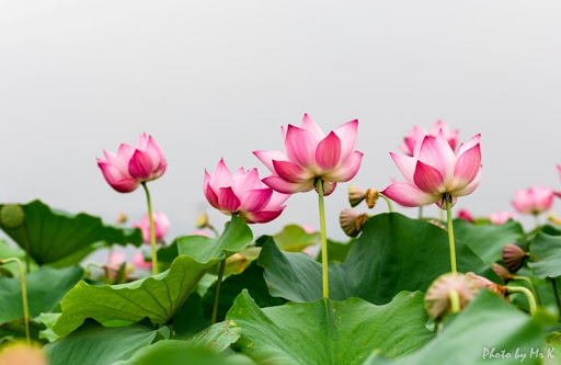 Kinh bảy điều nên biết