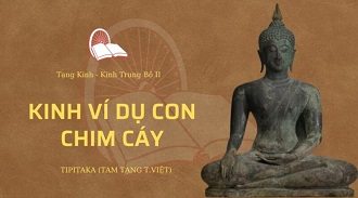 Kinh Trung Bộ 66 – Kinh Ví Dụ Con Chim Cáy - ĐĐ. Giác Tuyên giảng